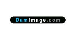 DamImage