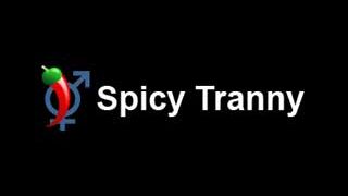 SpicyTranny