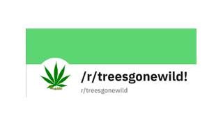 Trees Gone Wild